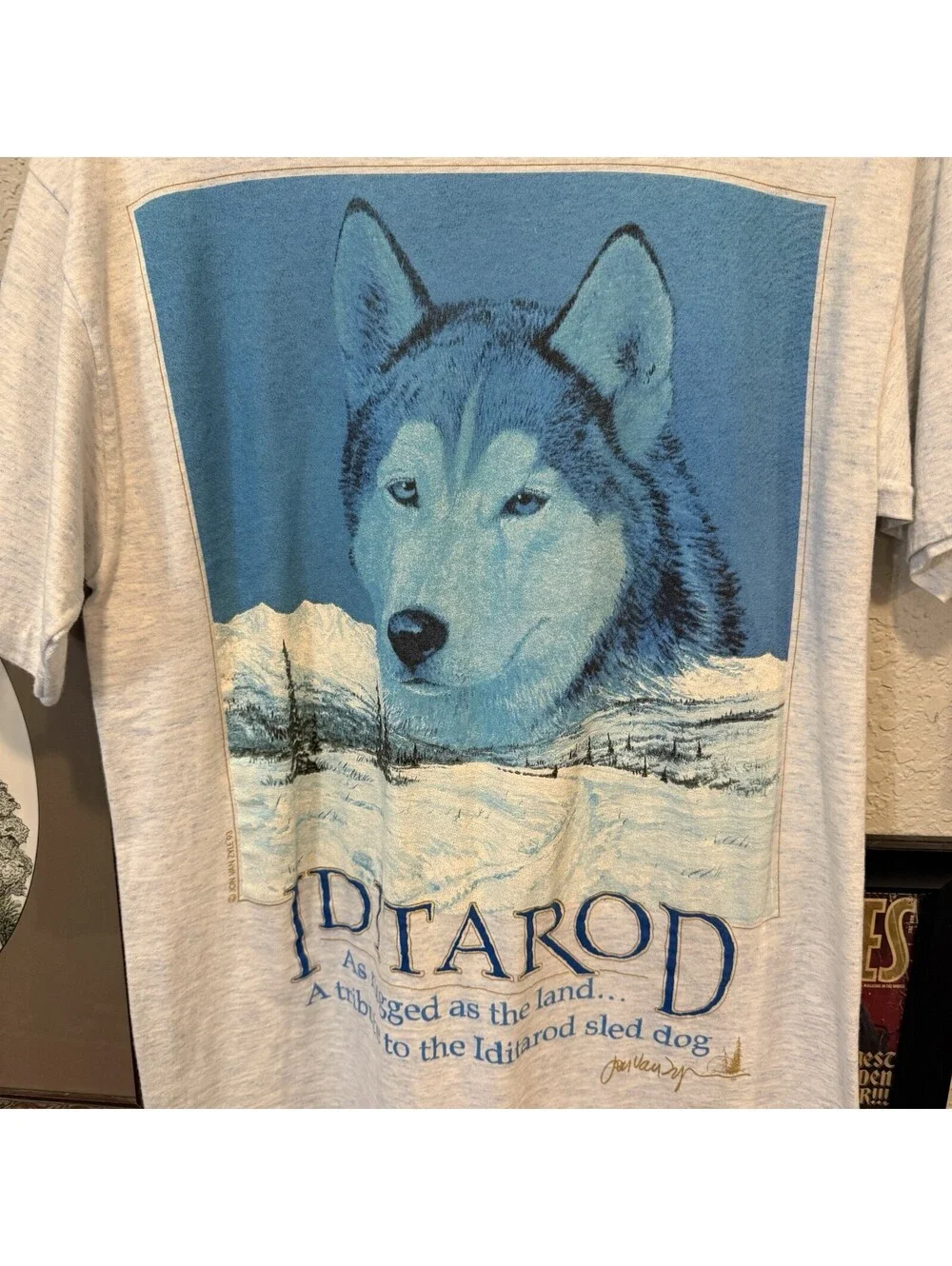 Vintage 90s Alaska Iditarod Race Shirt Size Medium Single Stitch Husky Souvenir
